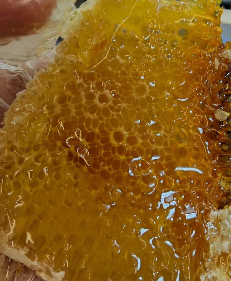 好蜂好蜜好蜂蜜纯真土蜂蜜