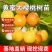 带土球车厘子树苗地栽南北方种植当年结果大樱桃苗樱桃烟台苗