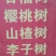 带土球车厘子树苗地栽南北方种植当年结果大樱桃苗樱桃烟台苗