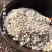 【精品推荐】精品糯薏米质量保证大量上市欢迎咨询
