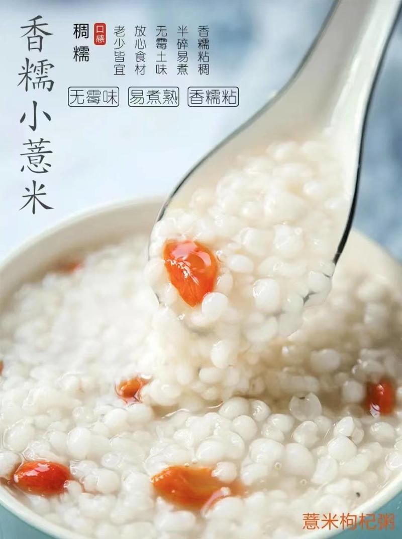 【精品推荐】精品糯薏米质量保证大量上市欢迎咨询