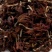 新货肾兰花白兰花干花白玉兰黄角兰花干养生花茶