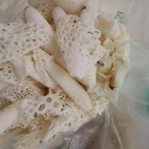 大量批发竹荪，