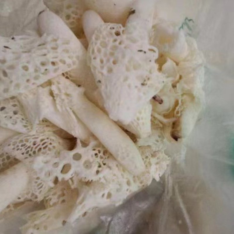 大量批发竹荪，
