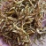素馨花干中药材素馨针鸡爪花野悉蜜材素馨花