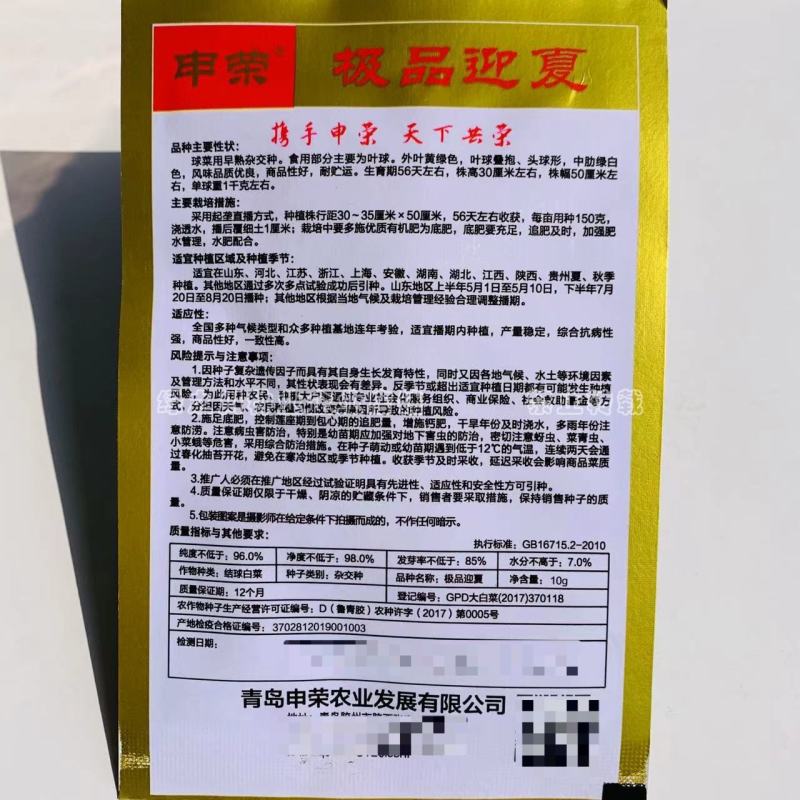 抗热大白菜种子夏秋季早熟杂交种外叶黄绿色叠抱耐热白菜种