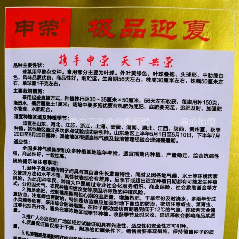 抗热大白菜种子夏秋季早熟杂交种外叶黄绿色叠抱耐热白菜种