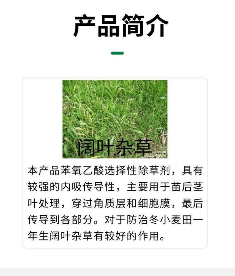 旺盛56%2甲4氯钠二甲4氯小麦阔叶杂草除草剂农药现货