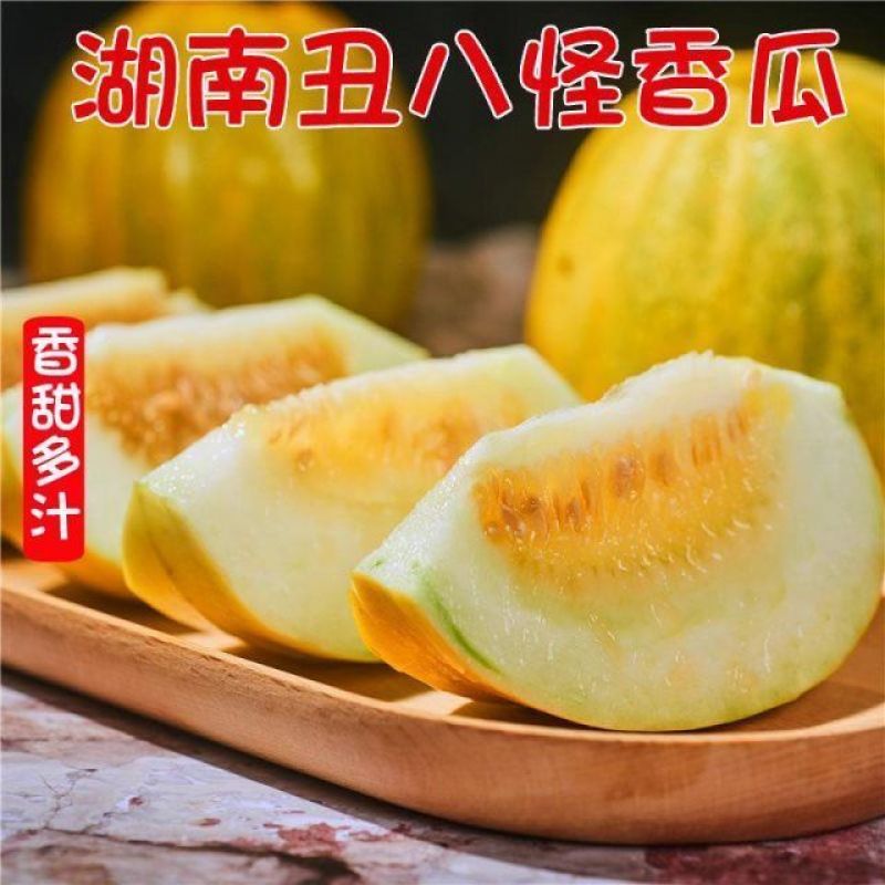 丑八怪香瓜