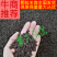 养殖场纯羊粪发酵，厂地直发，量大质优，全国发货