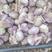 （精选）金乡大蒜红皮紫皮储存量大价位便宜全国发货