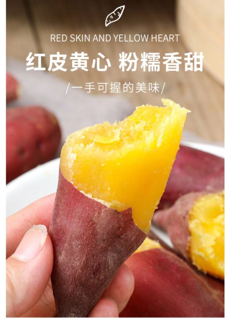红皮黄心小香薯