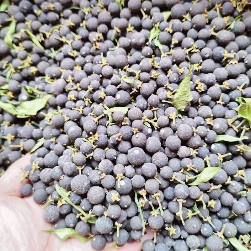 青皮圆个，切片，大量供应，保质保量，可视频看货