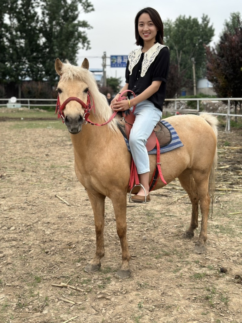 矮马100~200kg