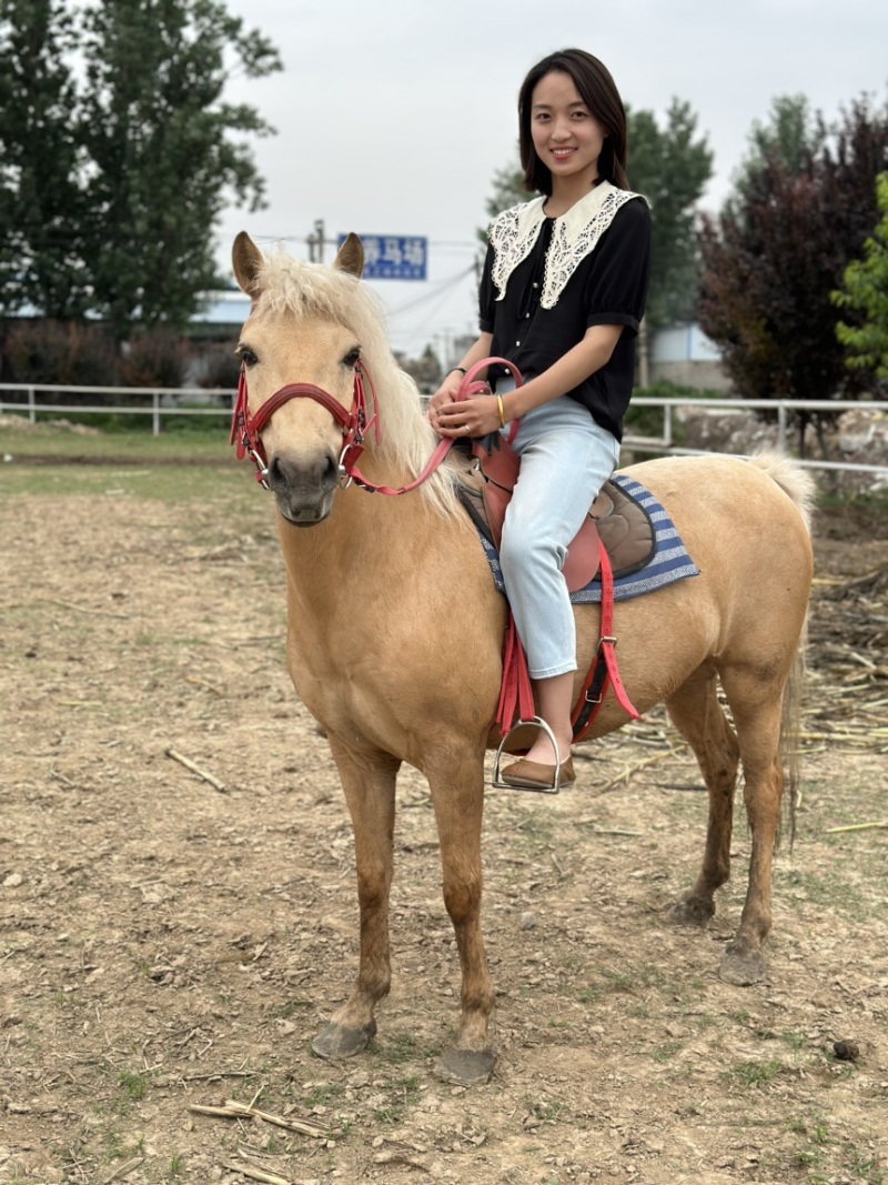 矮马100~200kg