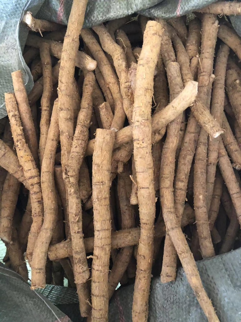 新鲜牛大力粉质薯大次牛整条煲汤泡酒好材料长期有货