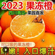 甜橙【果冻橙】四川青见果冻橙水果批发青见柑橘皇后水果批