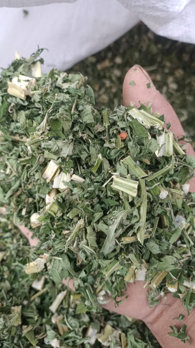 中药材益母草新品干货