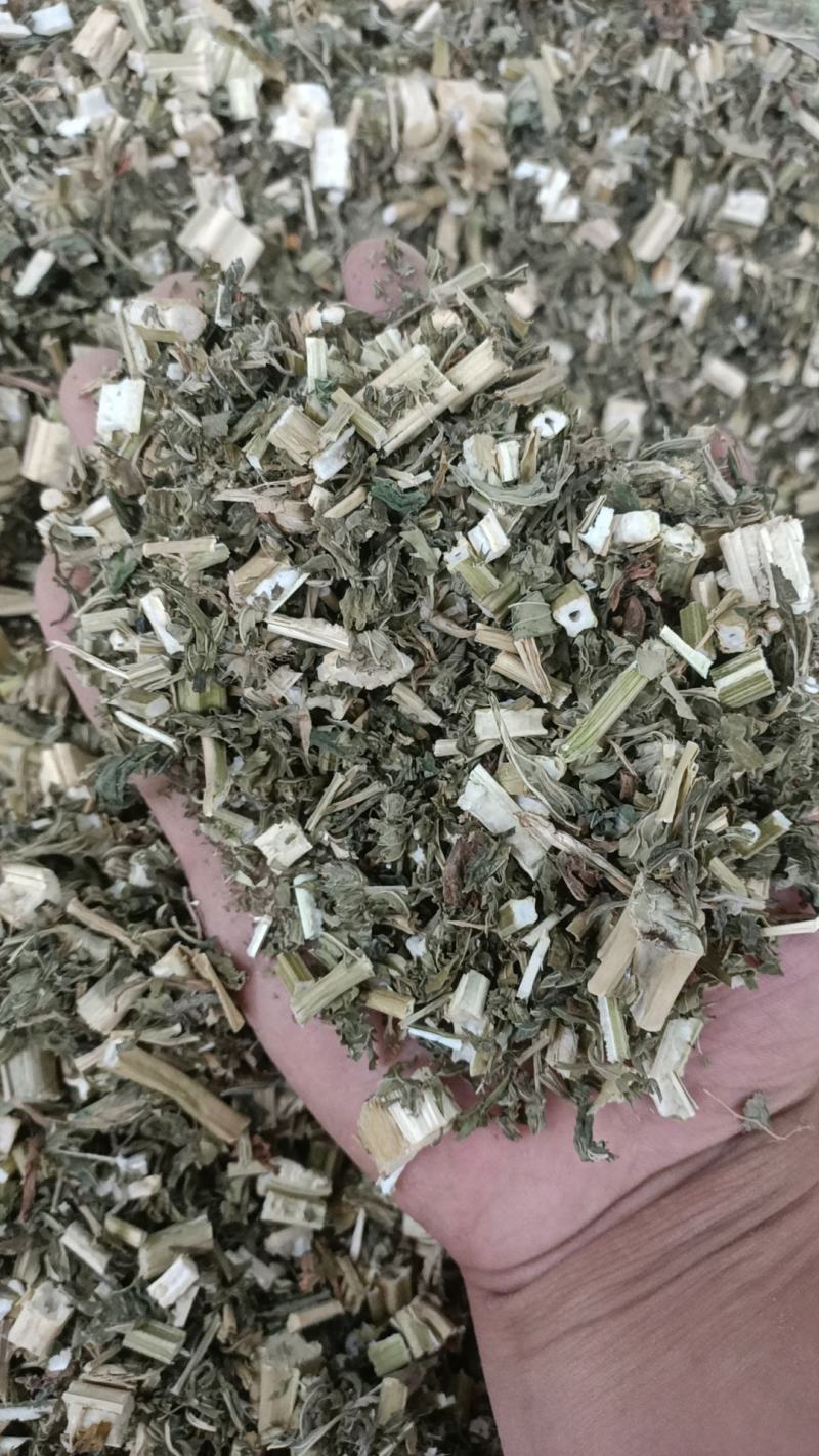 中药材益母草新品干货