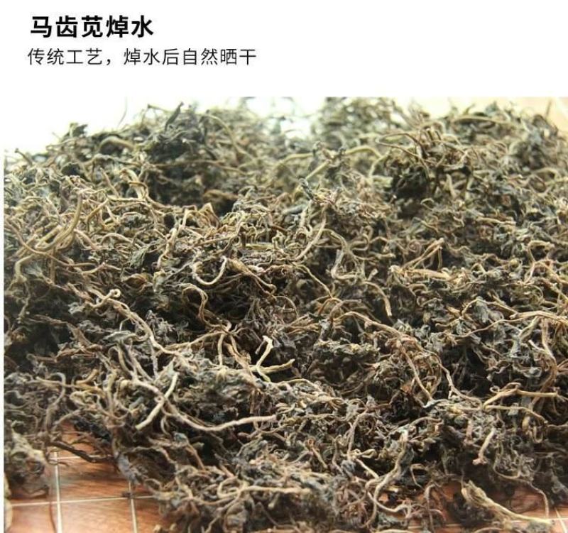 中药材马齿笕