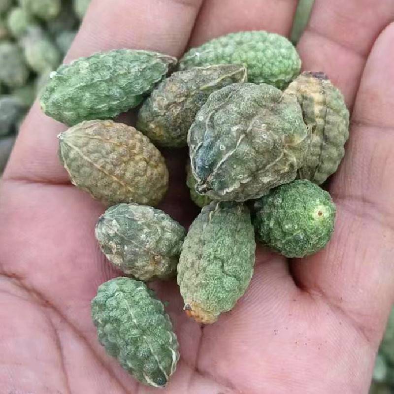 野西瓜新疆特产野生西瓜正品新货泡用料可打磨包邮批发