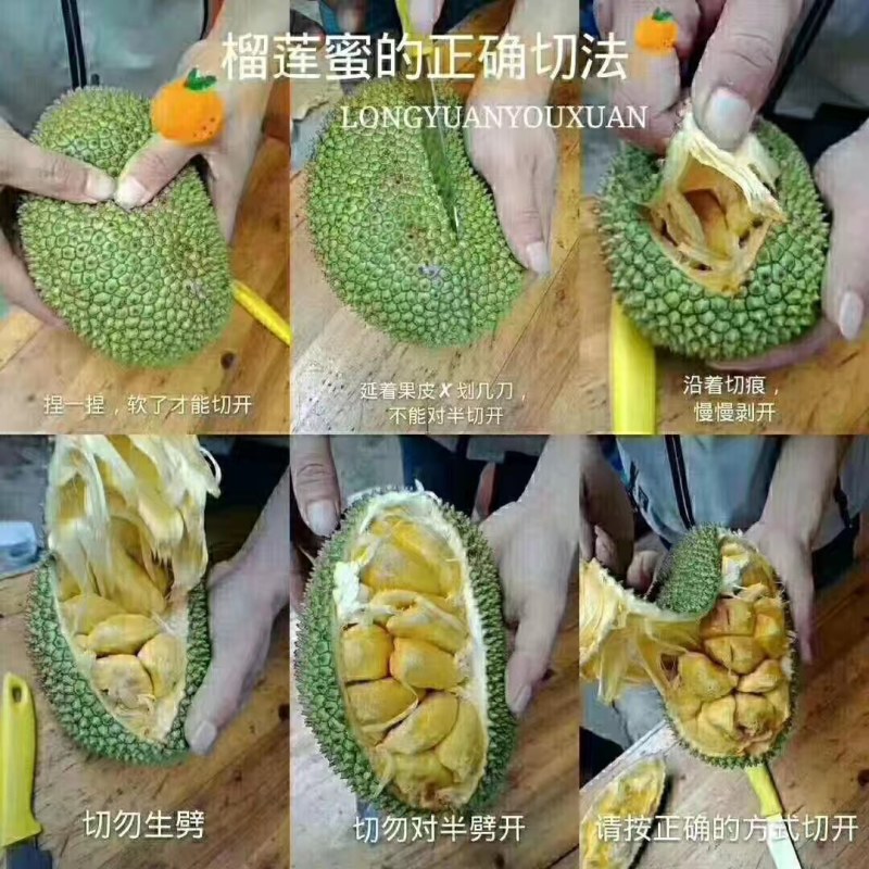 海南榴莲蜜，有着榴莲和菠萝蜜的味道，一个水果，两种囗感。