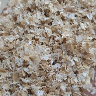 麸皮