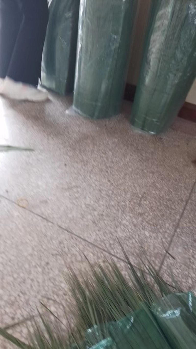 安徽芦苇叶