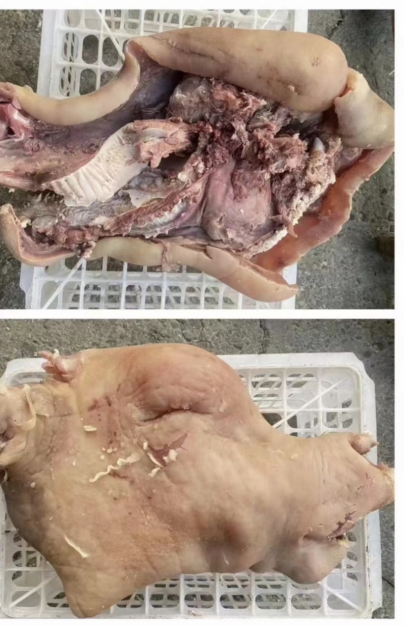 [精品]牛头肉河南焦作牛头货源充足质量保证