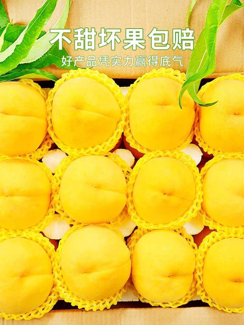 新鲜黄桃，产地直发
