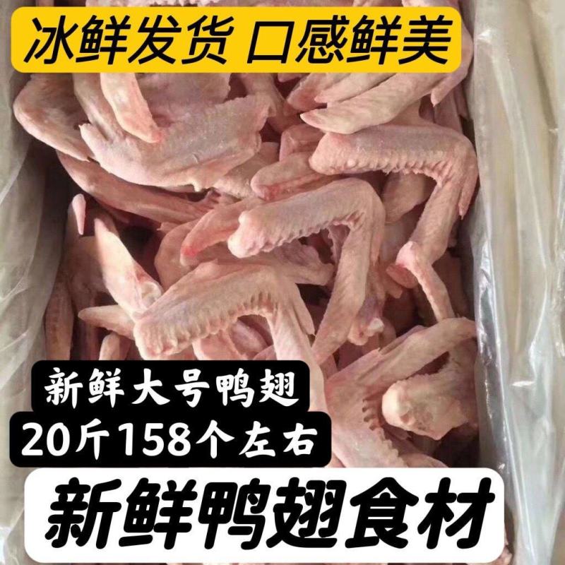 新鲜冷冻食材鸭翅二节翅鸭翅膀20斤158个左右卤菜