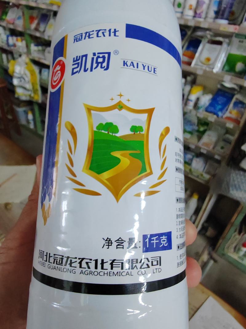 凯阅克菌丹，斑点落叶病，低毒保护性杀菌剂