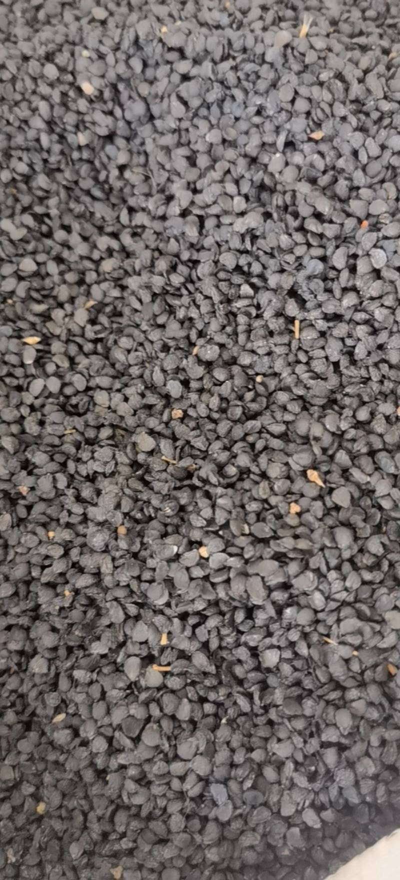 韭菜籽新货水洗关书药业批发各种规格中药材