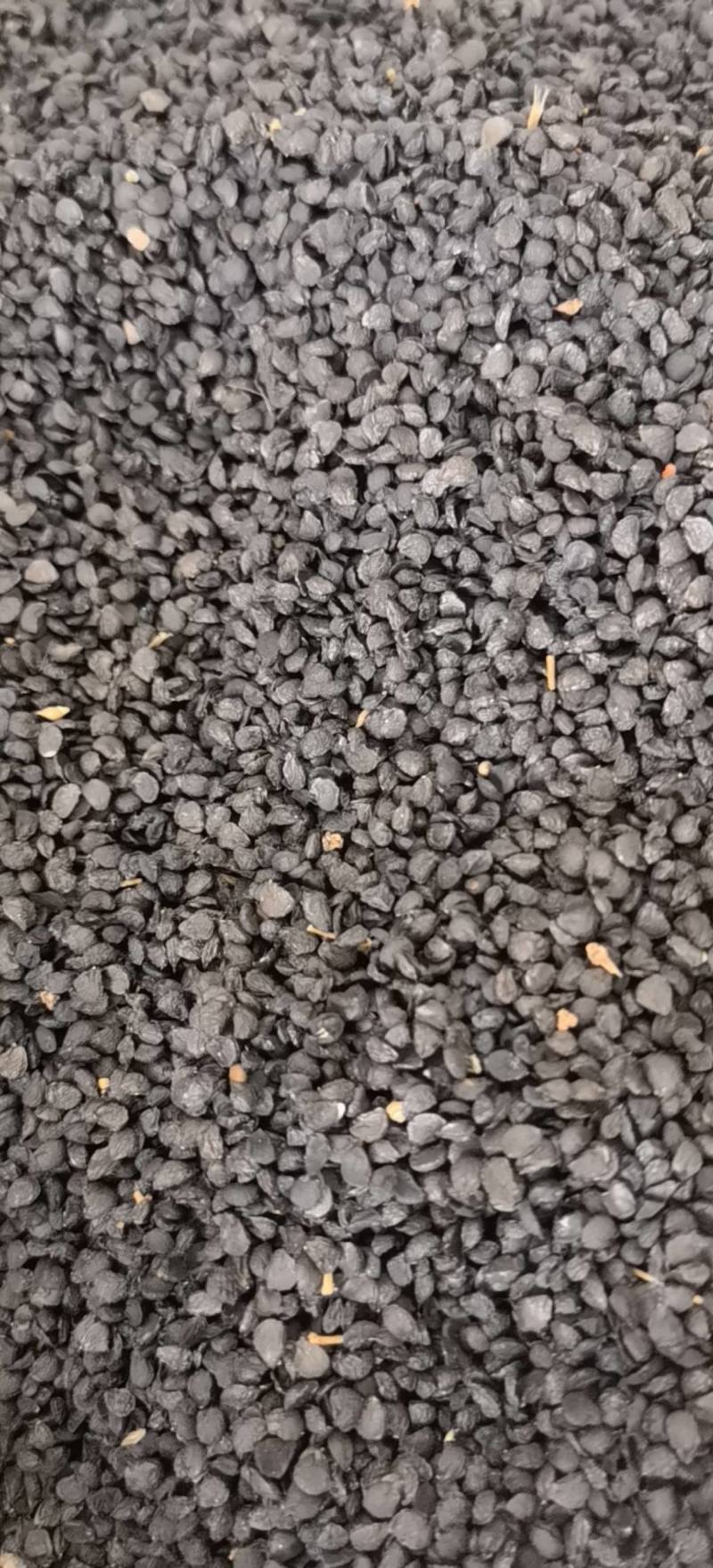 韭菜籽新货水洗关书药业批发各种规格中药材
