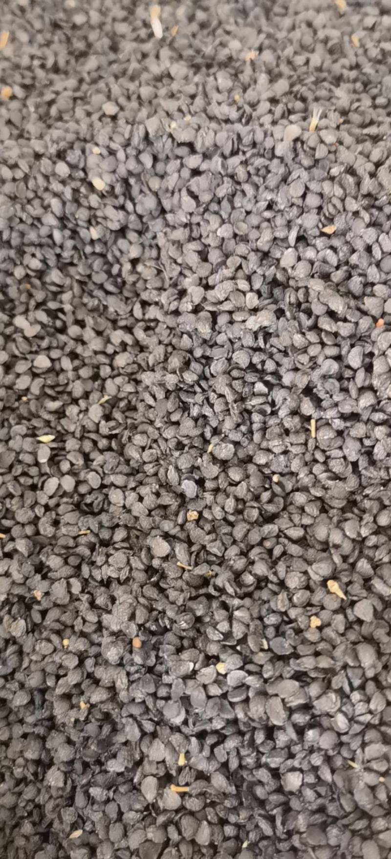 韭菜籽新货水洗关书药业批发各种规格中药材