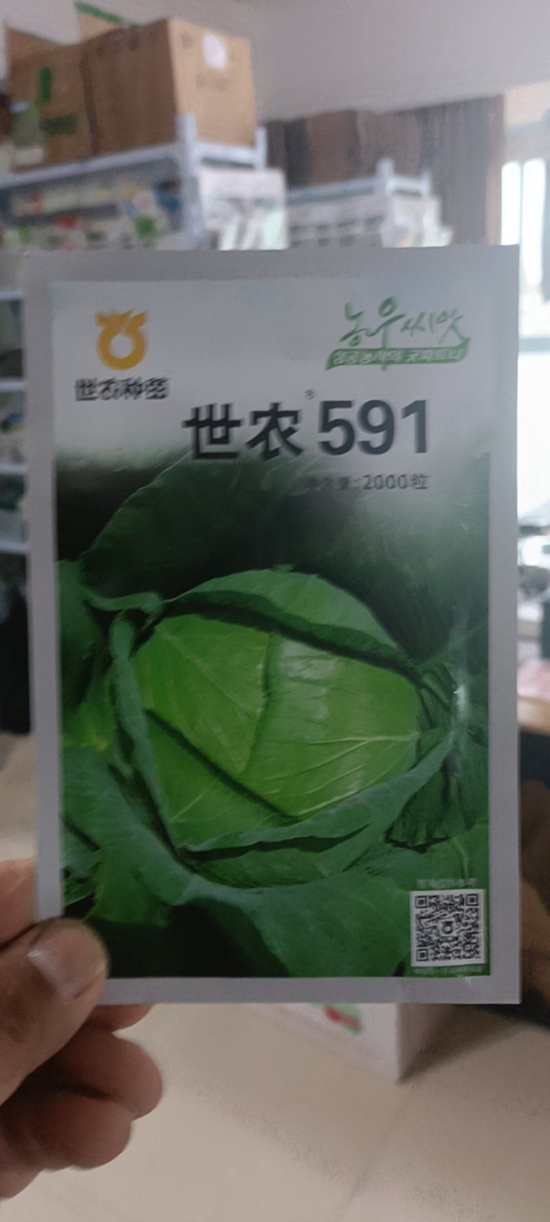 世农591甘蓝种子莲花白包菜卷心菜平顶包菜有机进口扁球抗