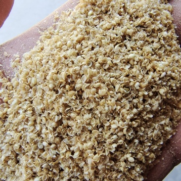 优质小米壳，鸡鸭鹅养殖专用料