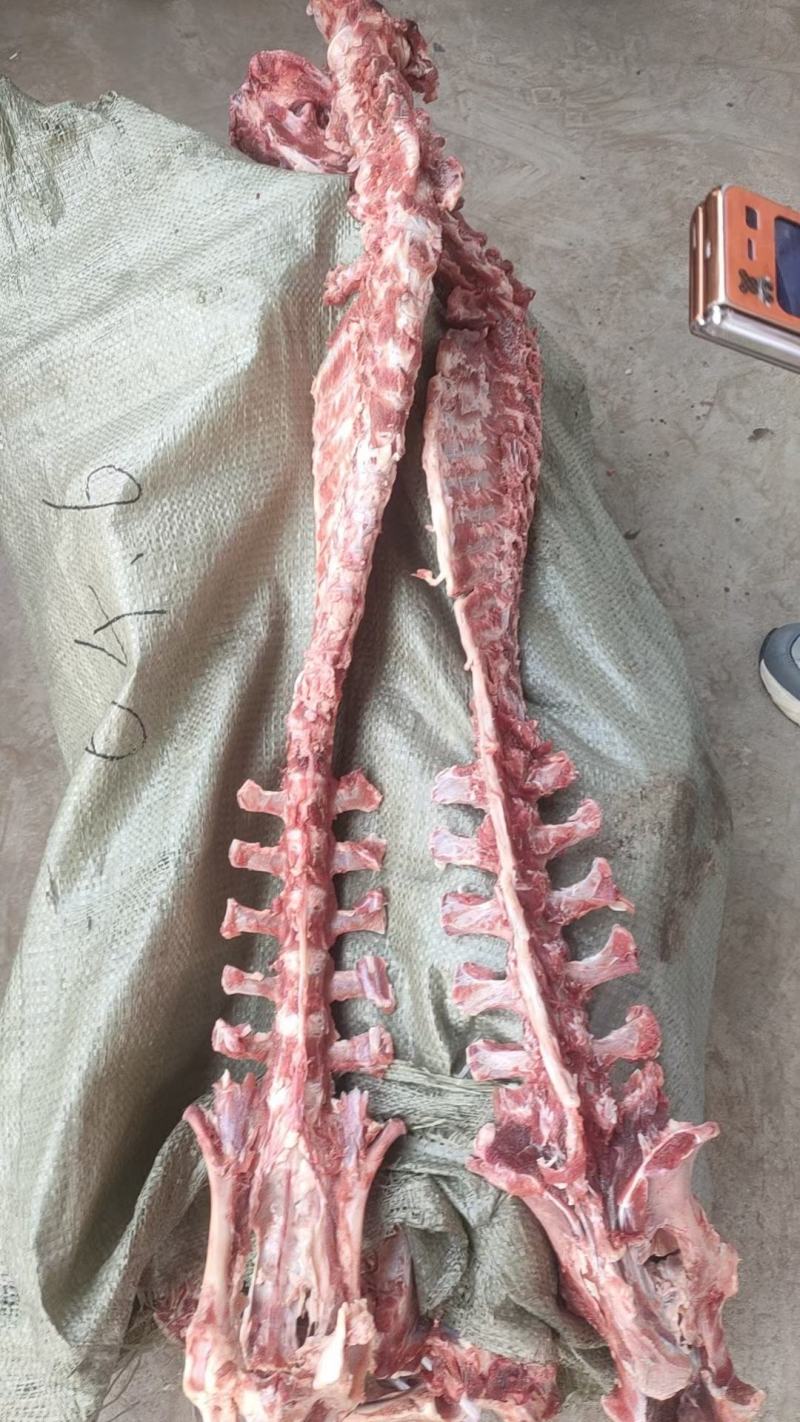 羊蝎子