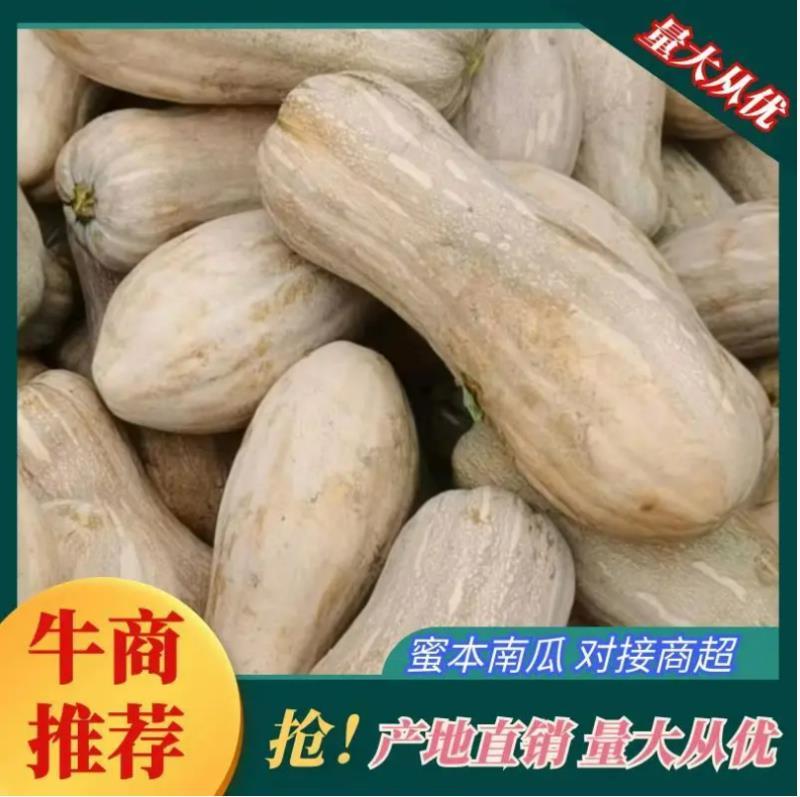 南瓜，湖南蜜本南瓜，产地直发，自家种植，量大电联承接电商