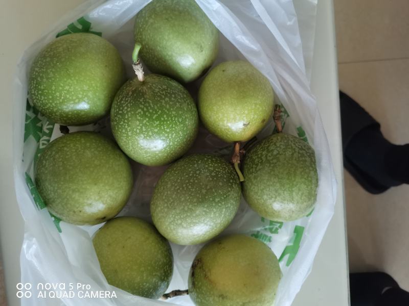 精品广东省徐闻县皮簿超甜正宗钦蜜9号黄金百香果