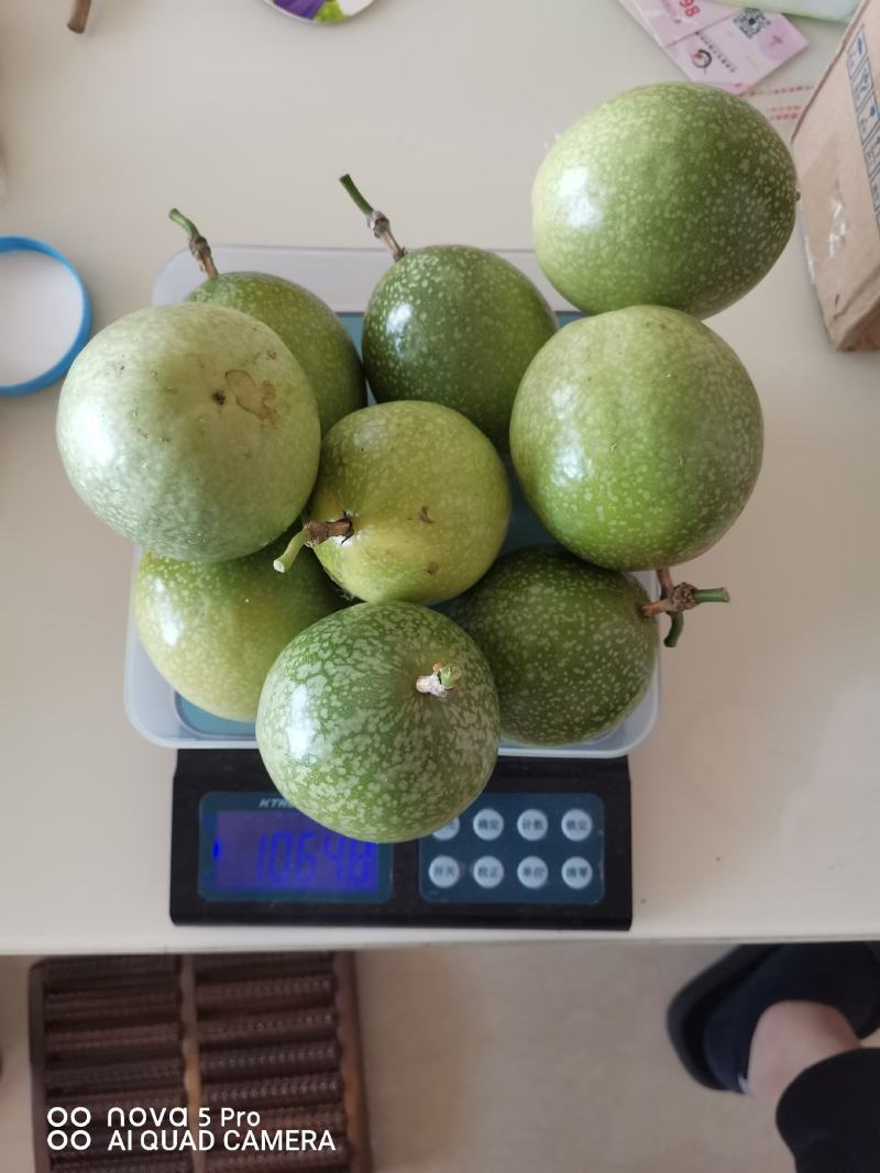 精品广东省徐闻县皮簿超甜正宗钦蜜9号黄金百香果
