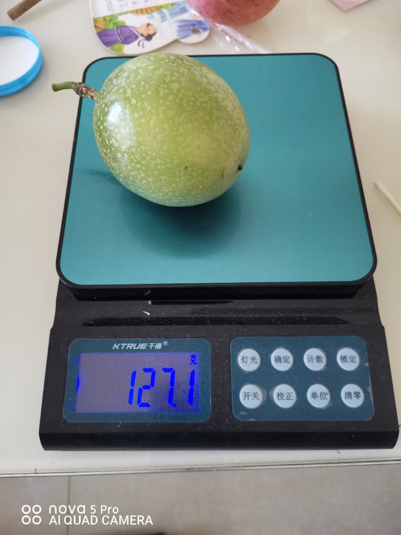 精品广东省徐闻县皮簿超甜正宗钦蜜9号黄金百香果