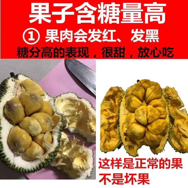 海南榴莲蜜，有着榴莲和菠萝蜜的味道，一个水果，两种囗感。