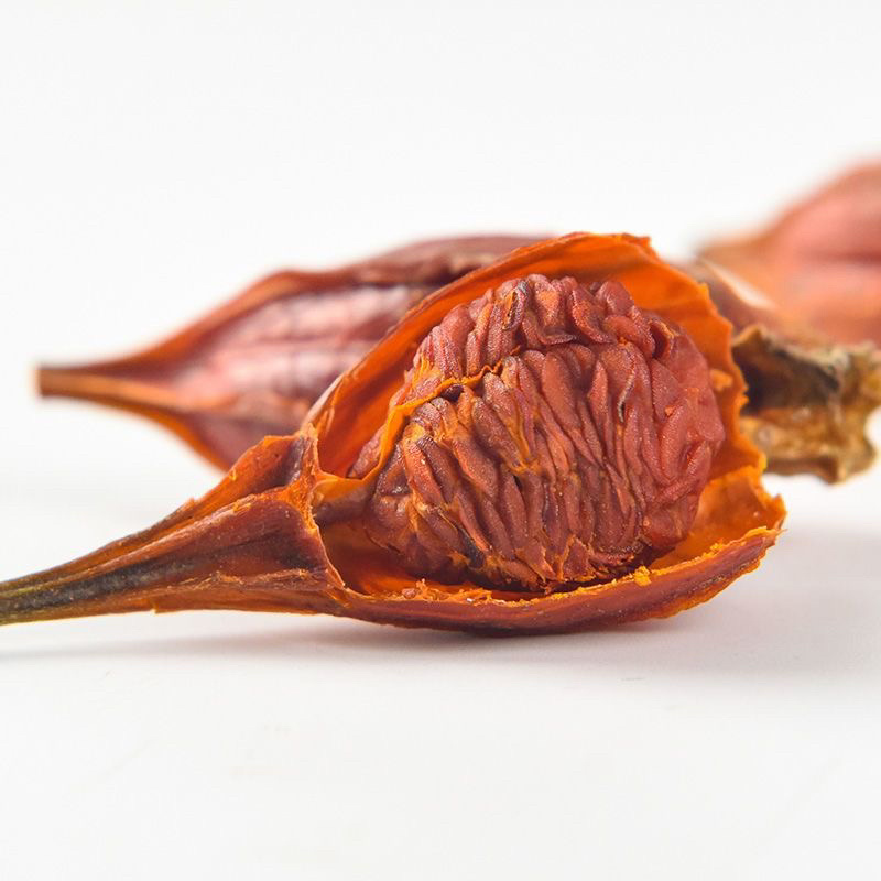 新货栀子果野生栀子果黄栀子茶花栀子花茶中药