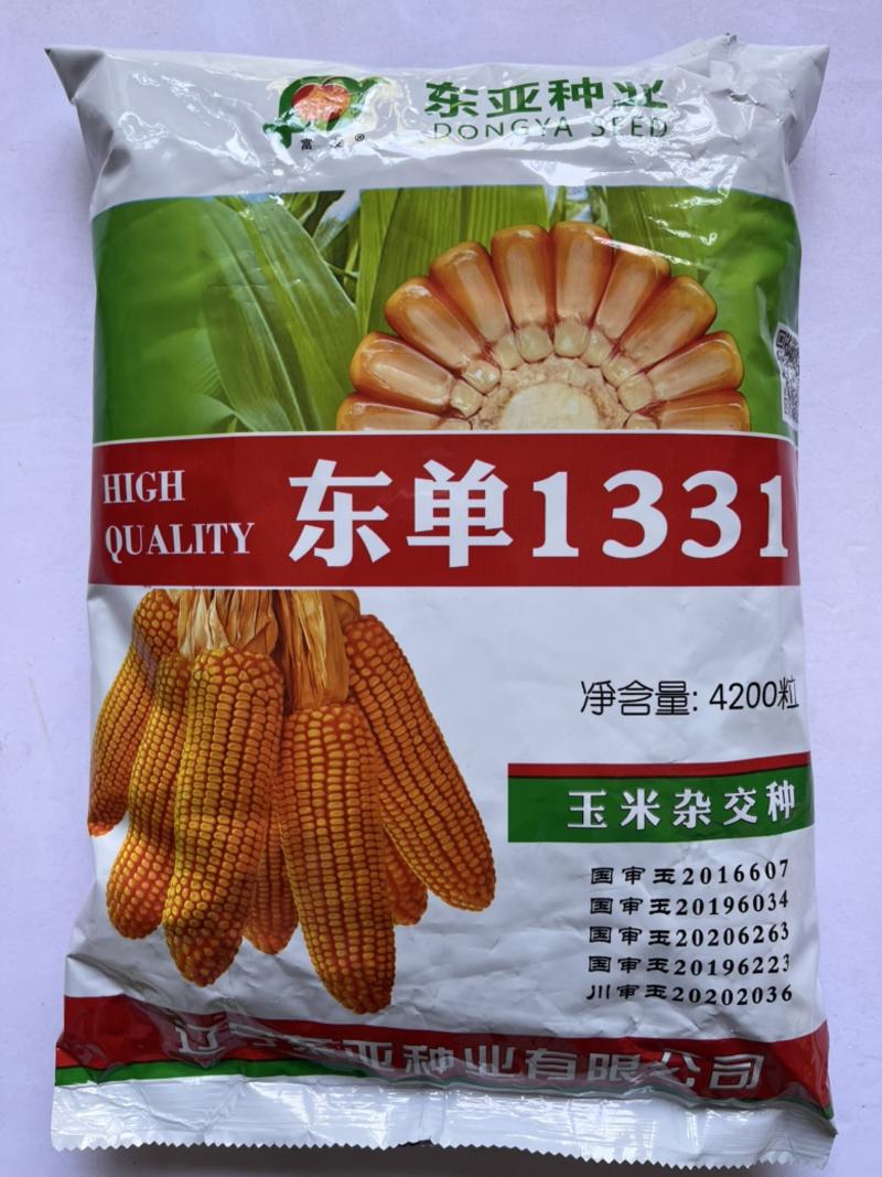 东单1331饲料玉米种子国审品种
