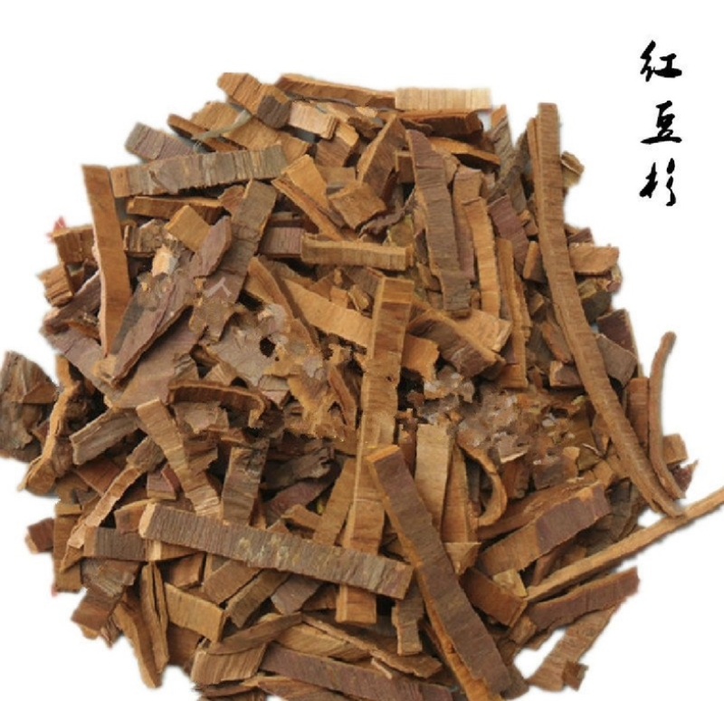 红豆杉产地陕西振兴药材产地直发红豆杉