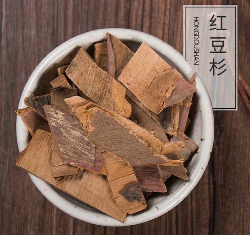 红豆杉产地陕西振兴药材产地直发红豆杉