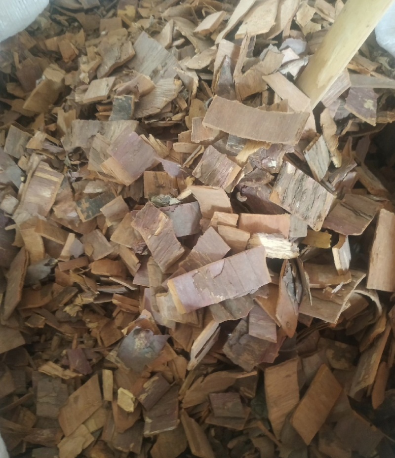 红豆杉产地陕西振兴药材产地直发红豆杉