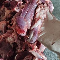 牛肉筋精修大块牛肉筋源头厂家货源充足保质保量量大从优纯干