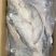 巴沙鱼反骨工艺干冰开背鱼三去工艺速冻锁鲜真空包装